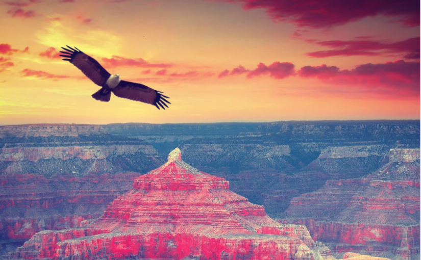 Les grands parcs nationaux américains 